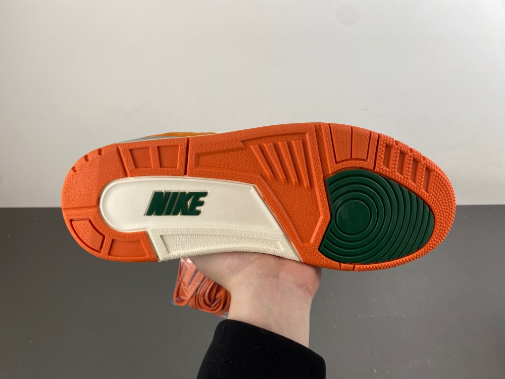 Air Jordan 3 IF4491-100