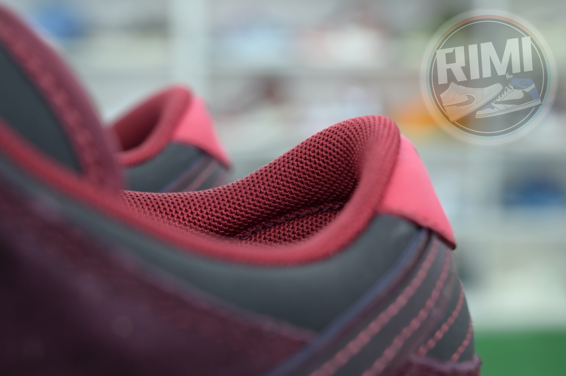 RIOT Skateshop x Nike SB Dunk Low