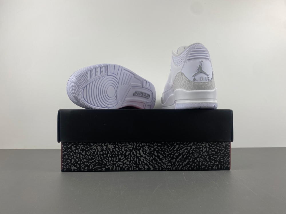Air Jordan 3 Pure Money CT8532-111