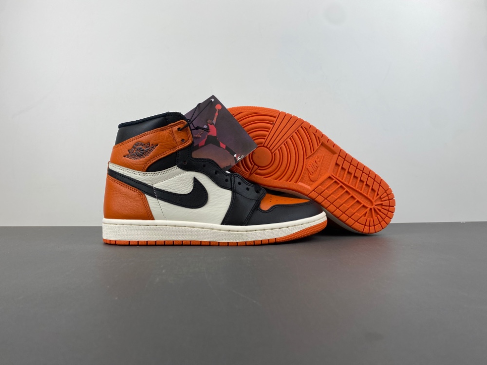 Air Jordan 1 High OG Shattered Backboard DZ5485-008