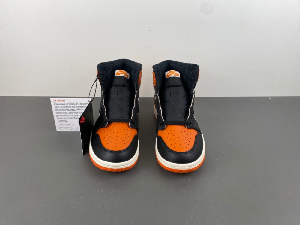 Air Jordan 1 High OG Shattered Backboard DZ5485-008