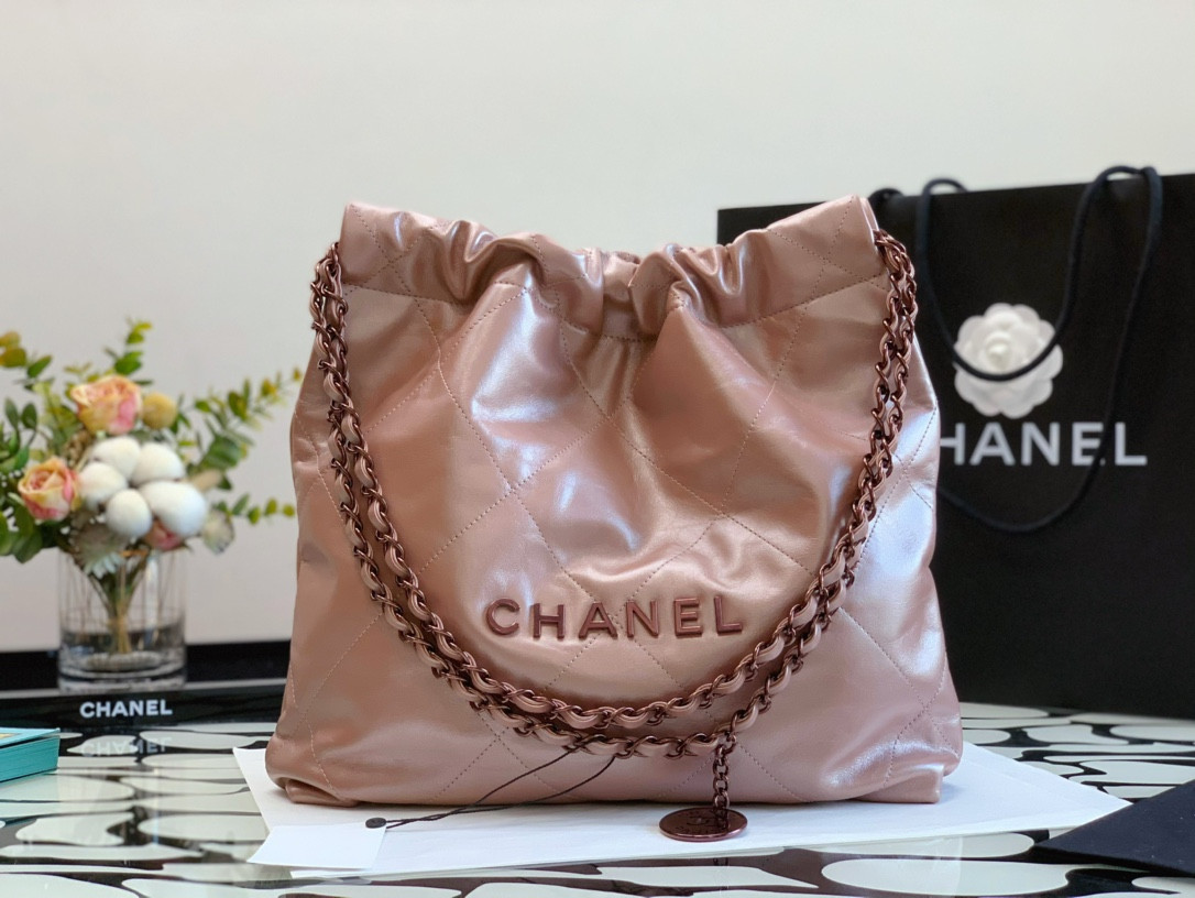 Chanle 22 Backpack