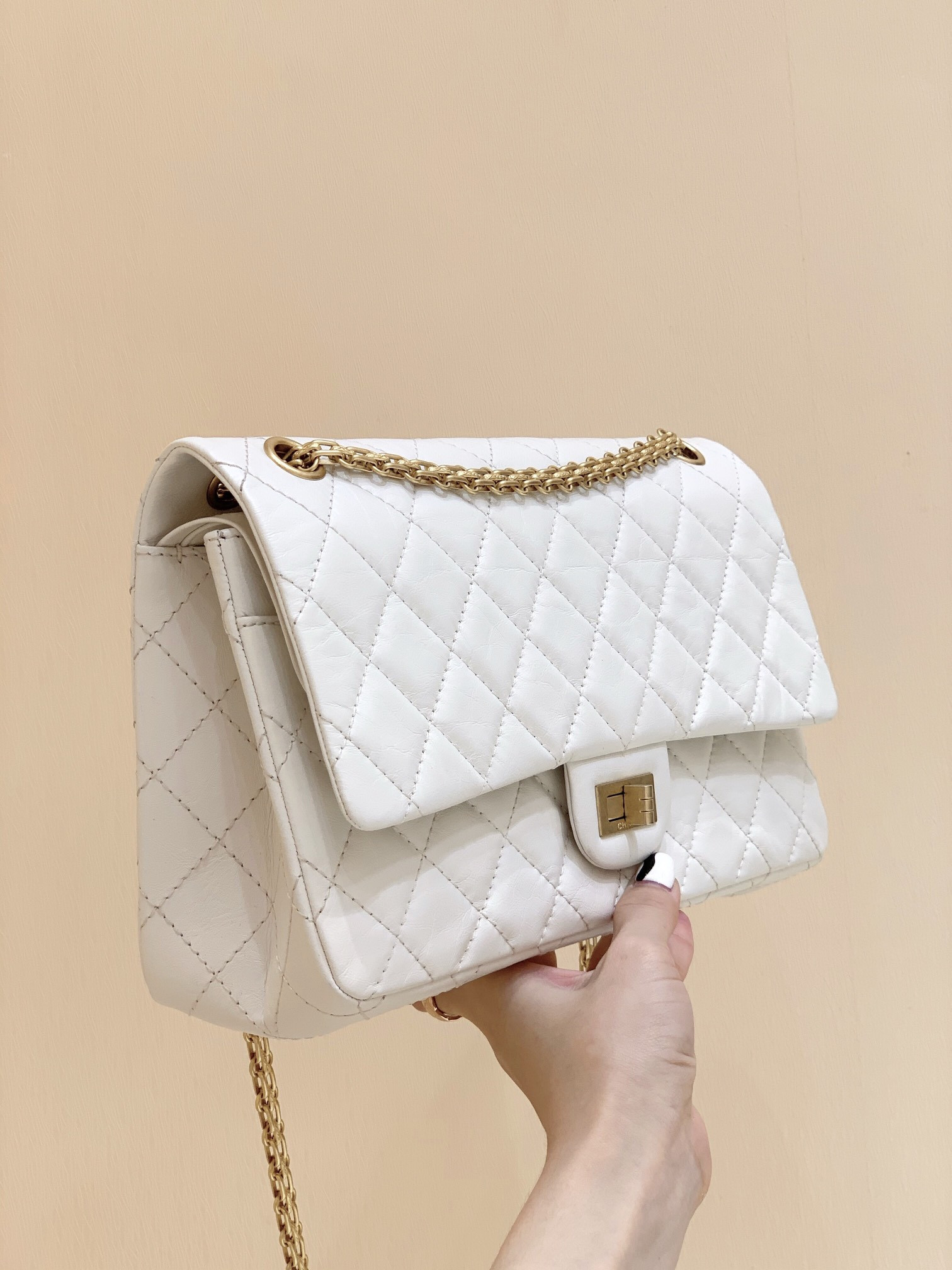 Chanle Reissue 2.55 Handbag