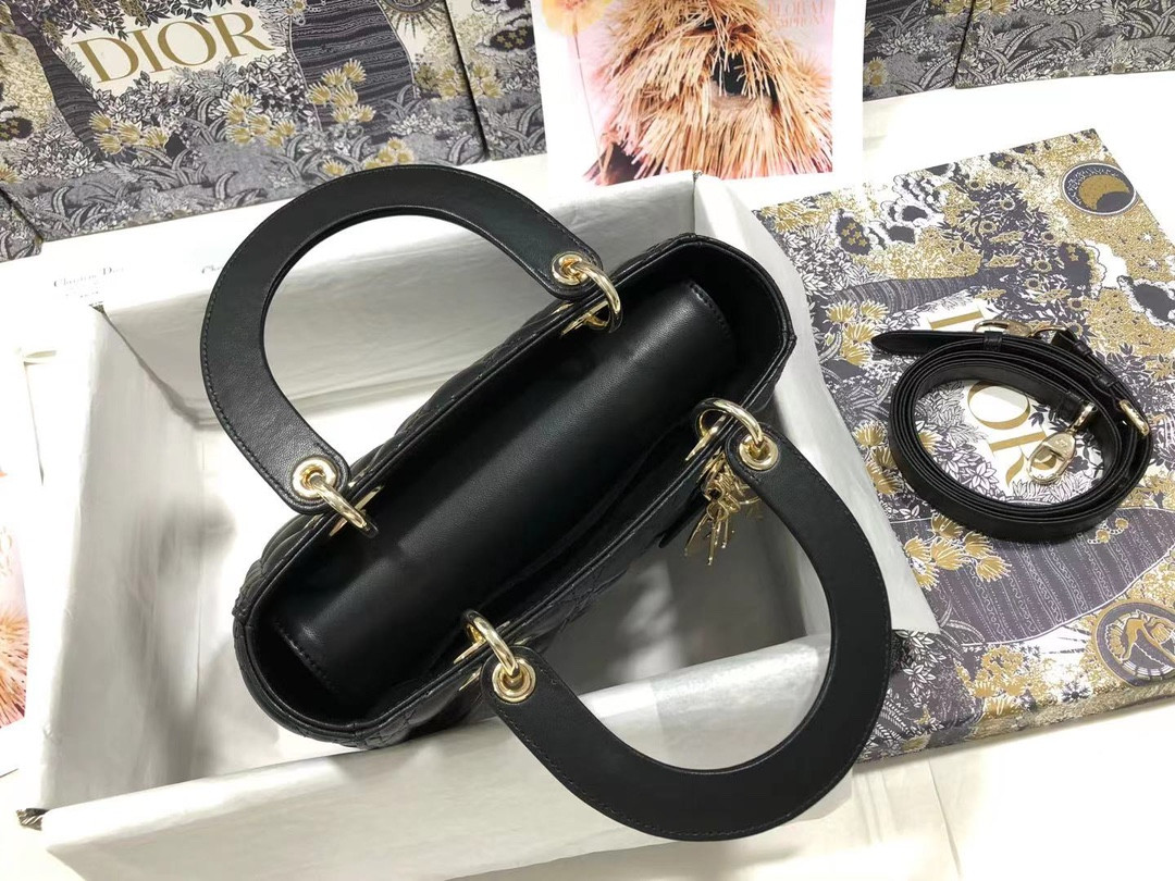 Medium Lady D10r Bag