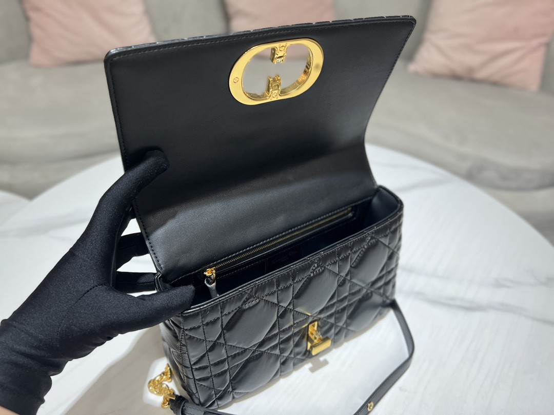 Medium D10r Caro Bag