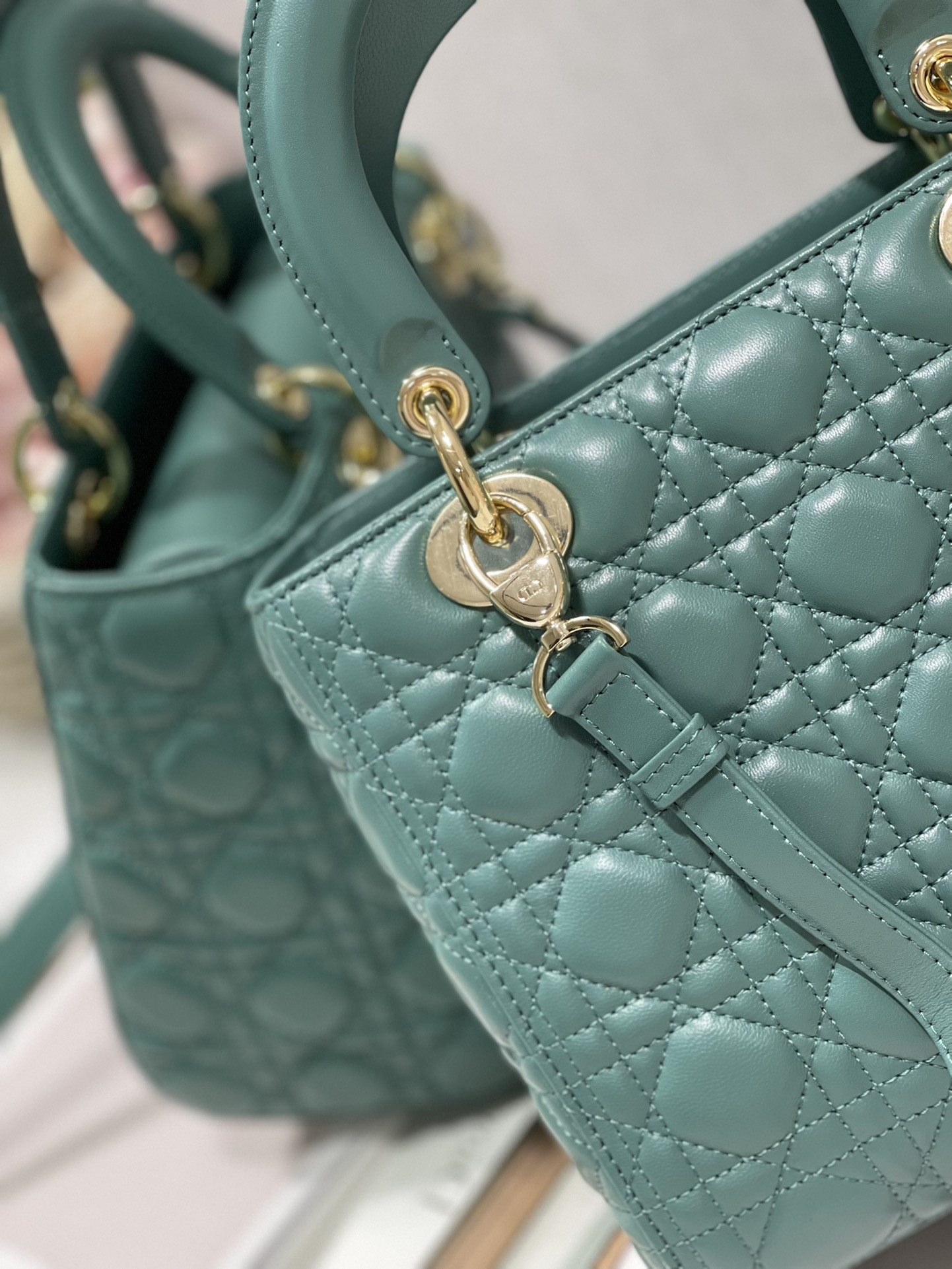 Medium Lady D10r Bag