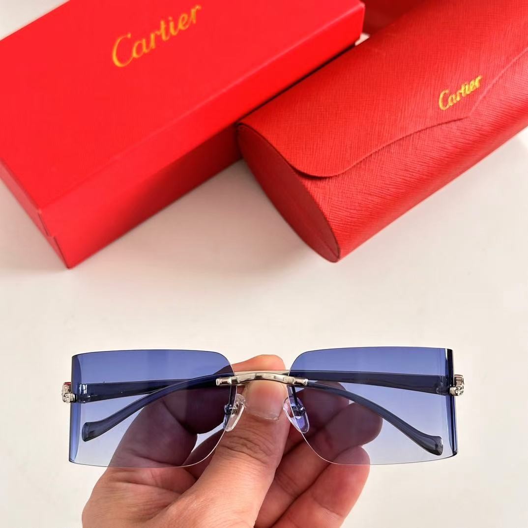 Ca*t1er sunglasses