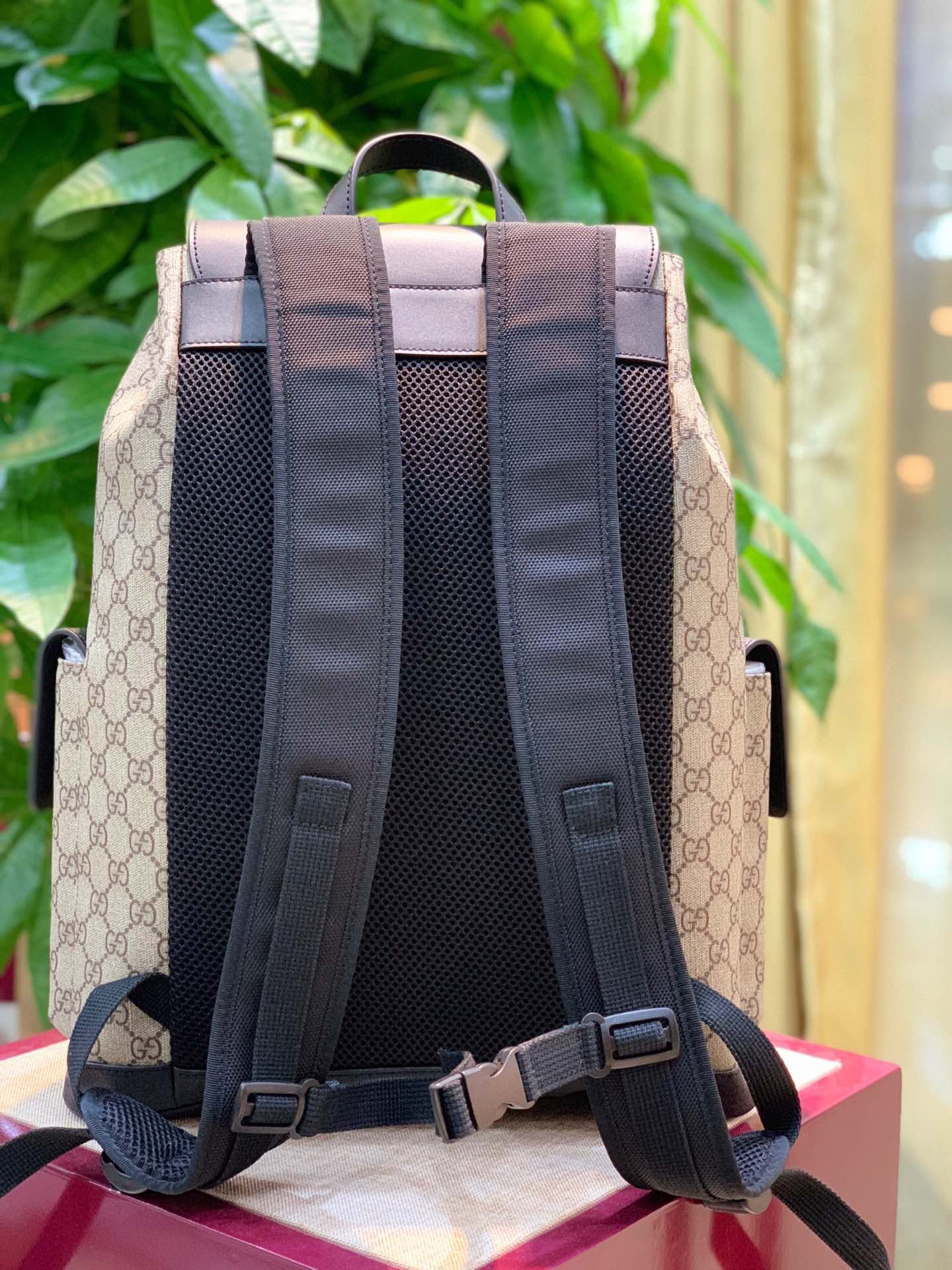 Gvc*1 Backpack Model:495563