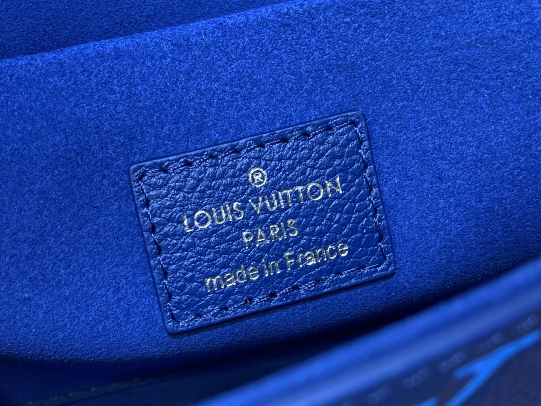 Lv Pochette Félicie Bag