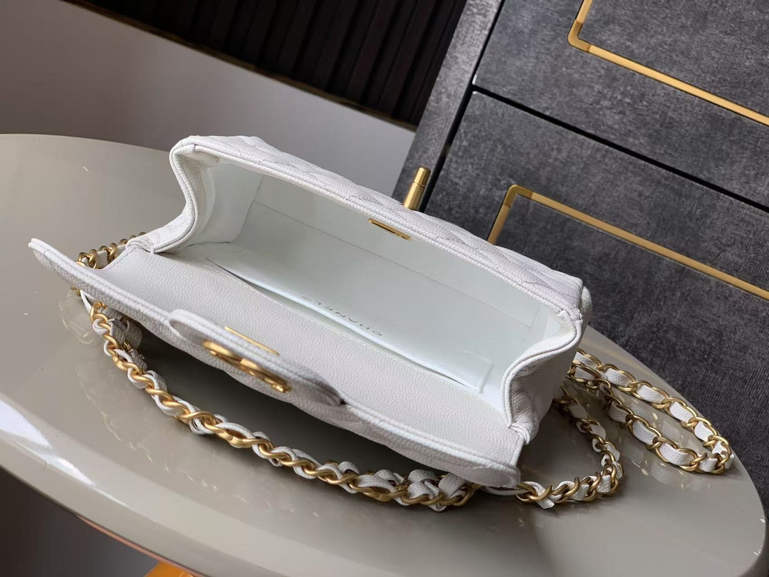 Ch**el 25p Classic Double Flap Bag