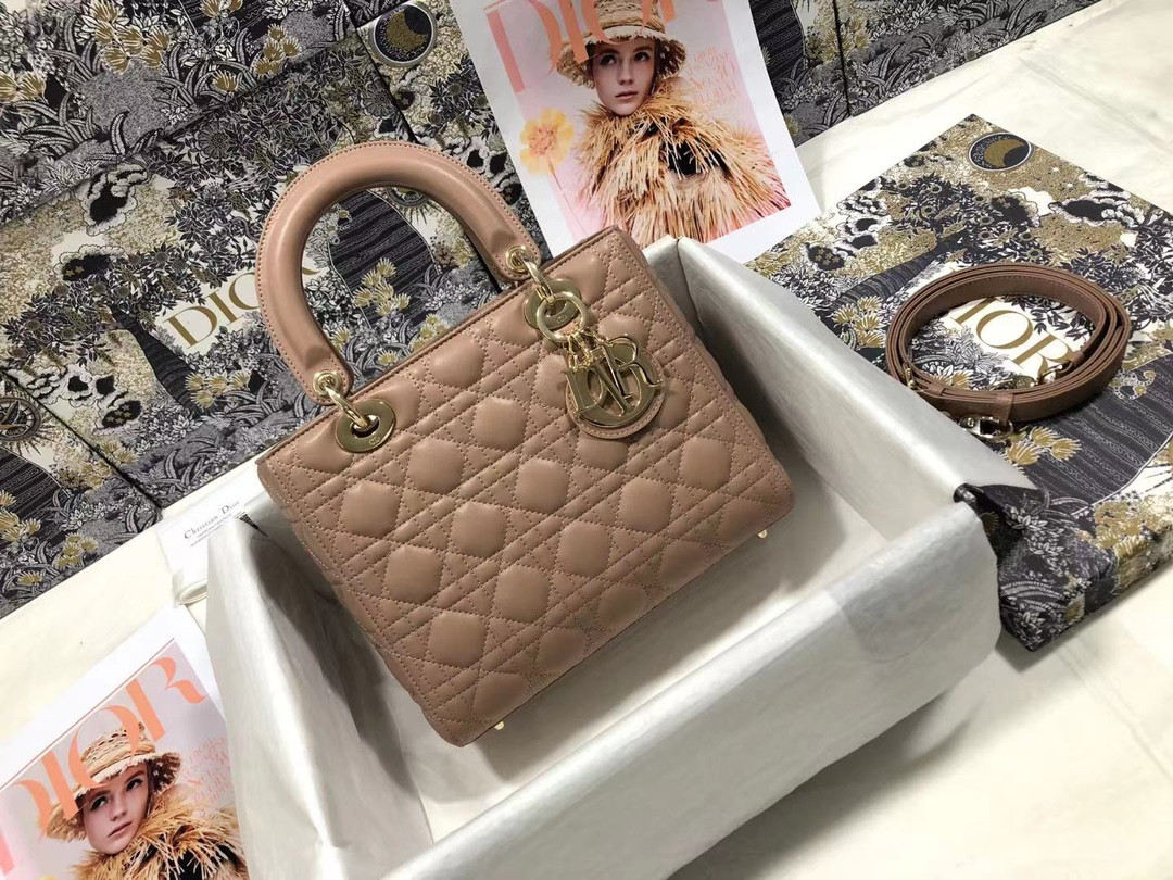 Medium Lady D10r Bag