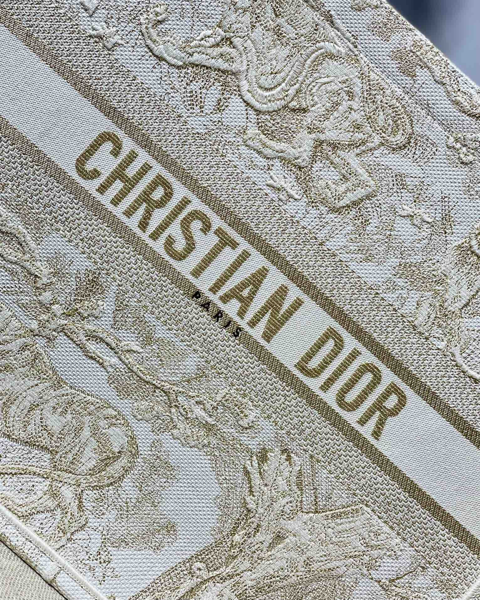 Large D10r Book Tote