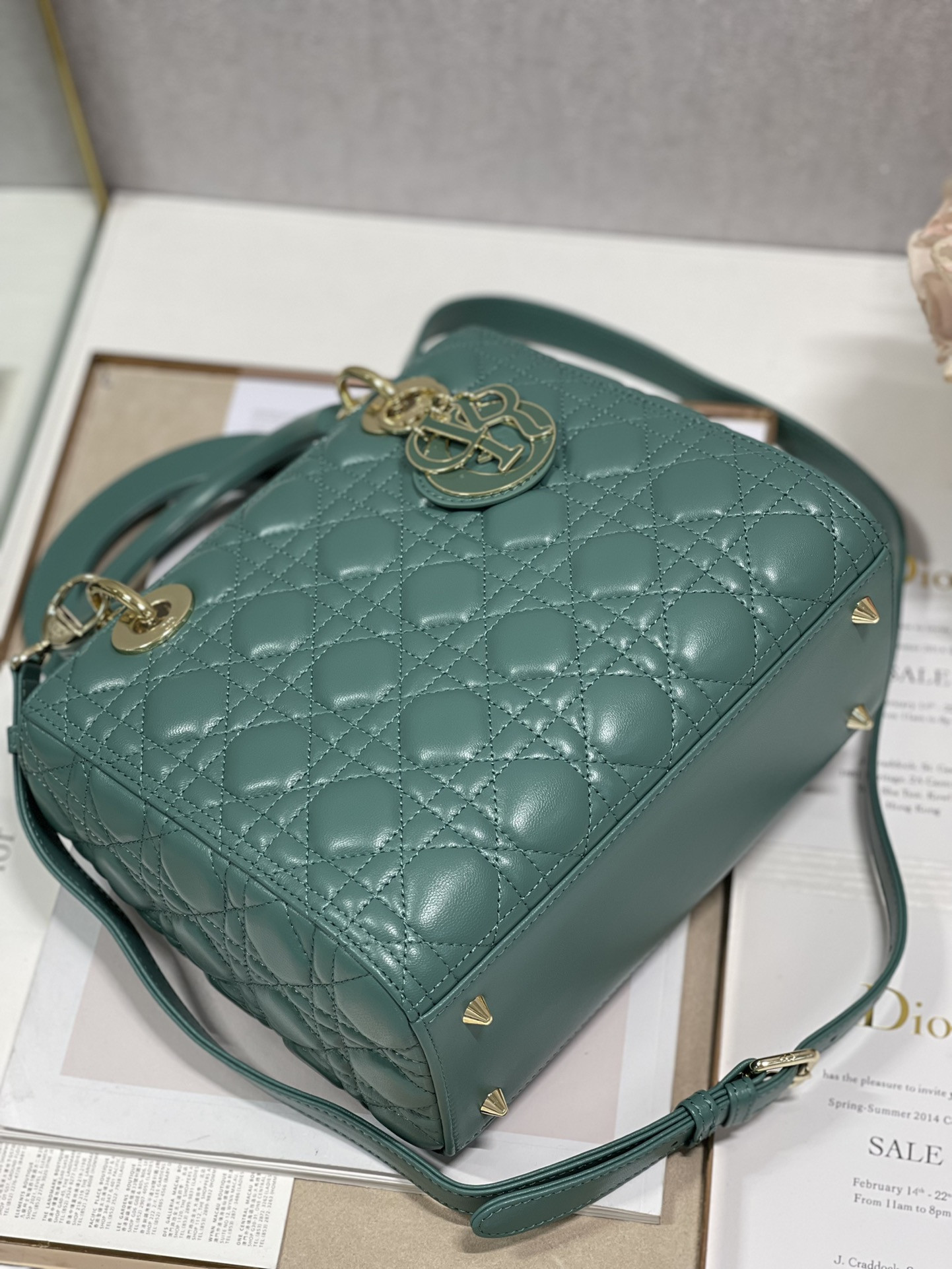 Medium Lady D10r Bag