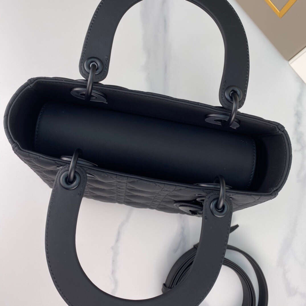 Medium Lady D10r Bag