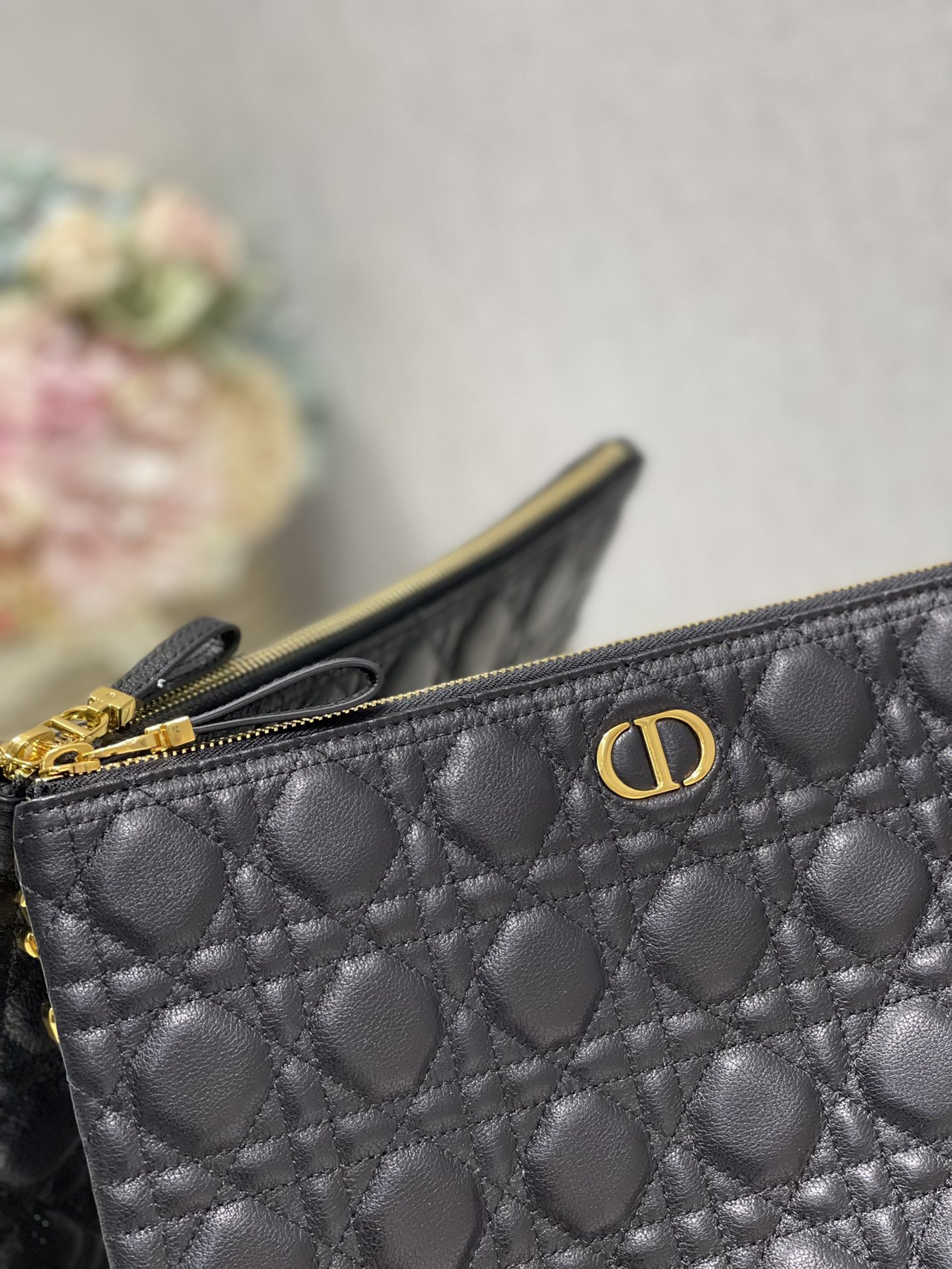 Large D10r Caro Daily Pouch