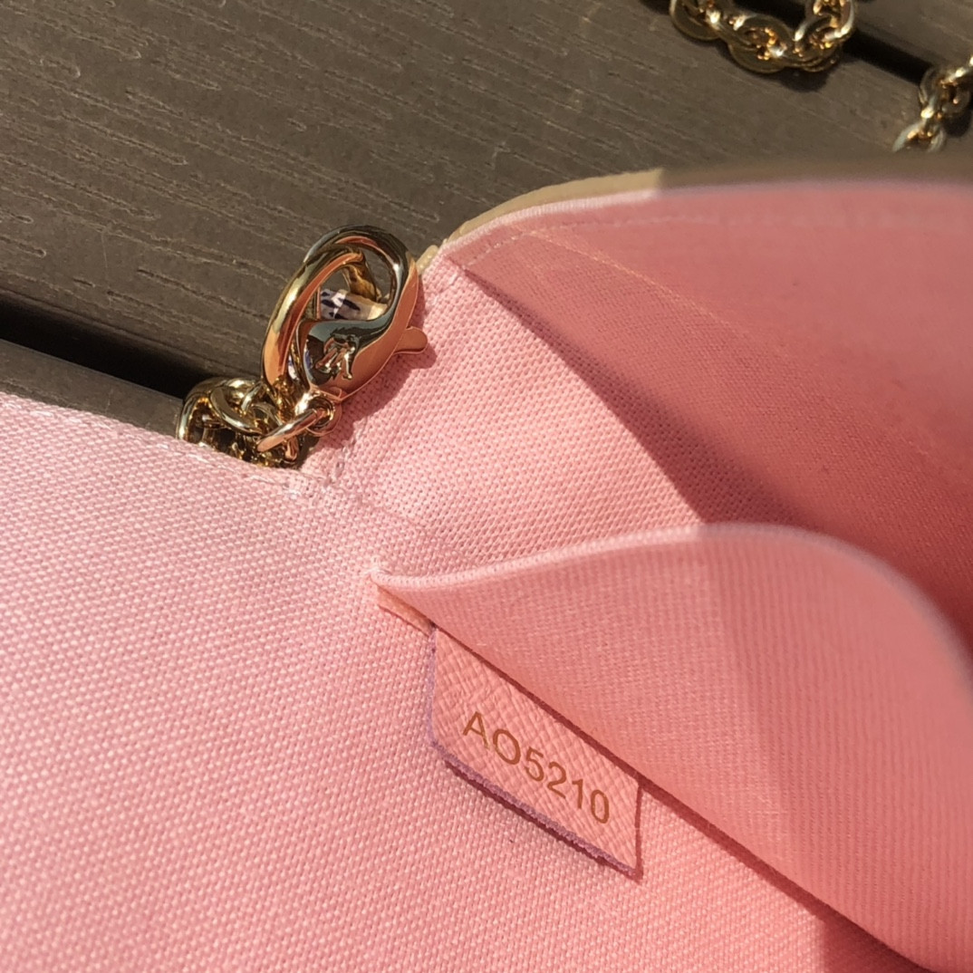 Lv Pochette Félicie Bag