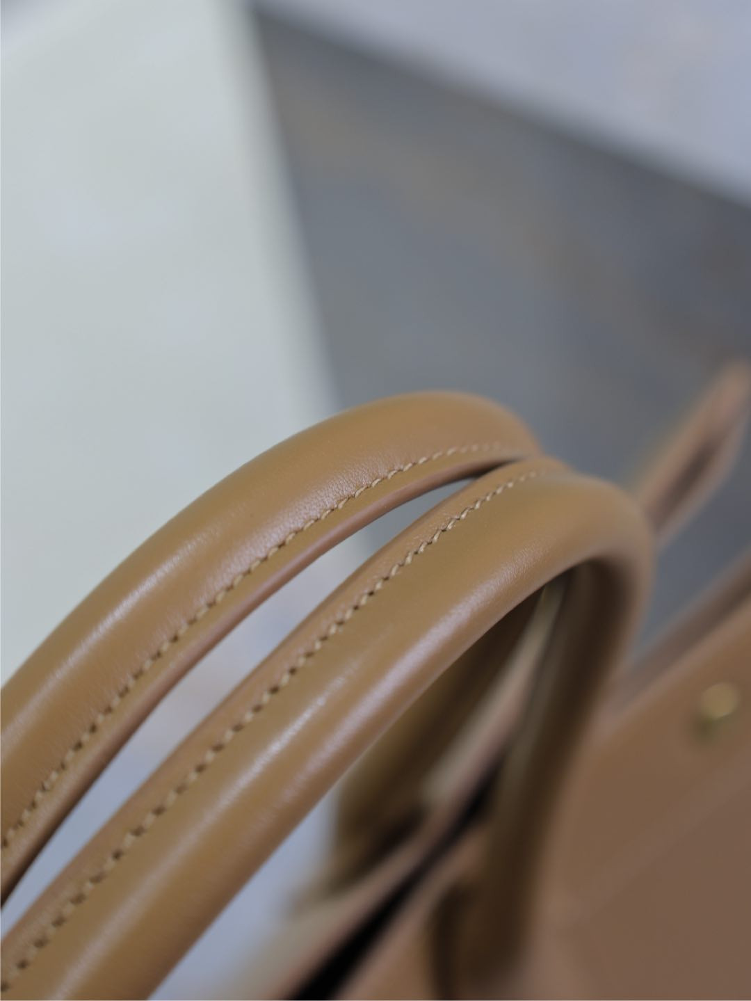 Y51 Rive Gauche Tote Bag