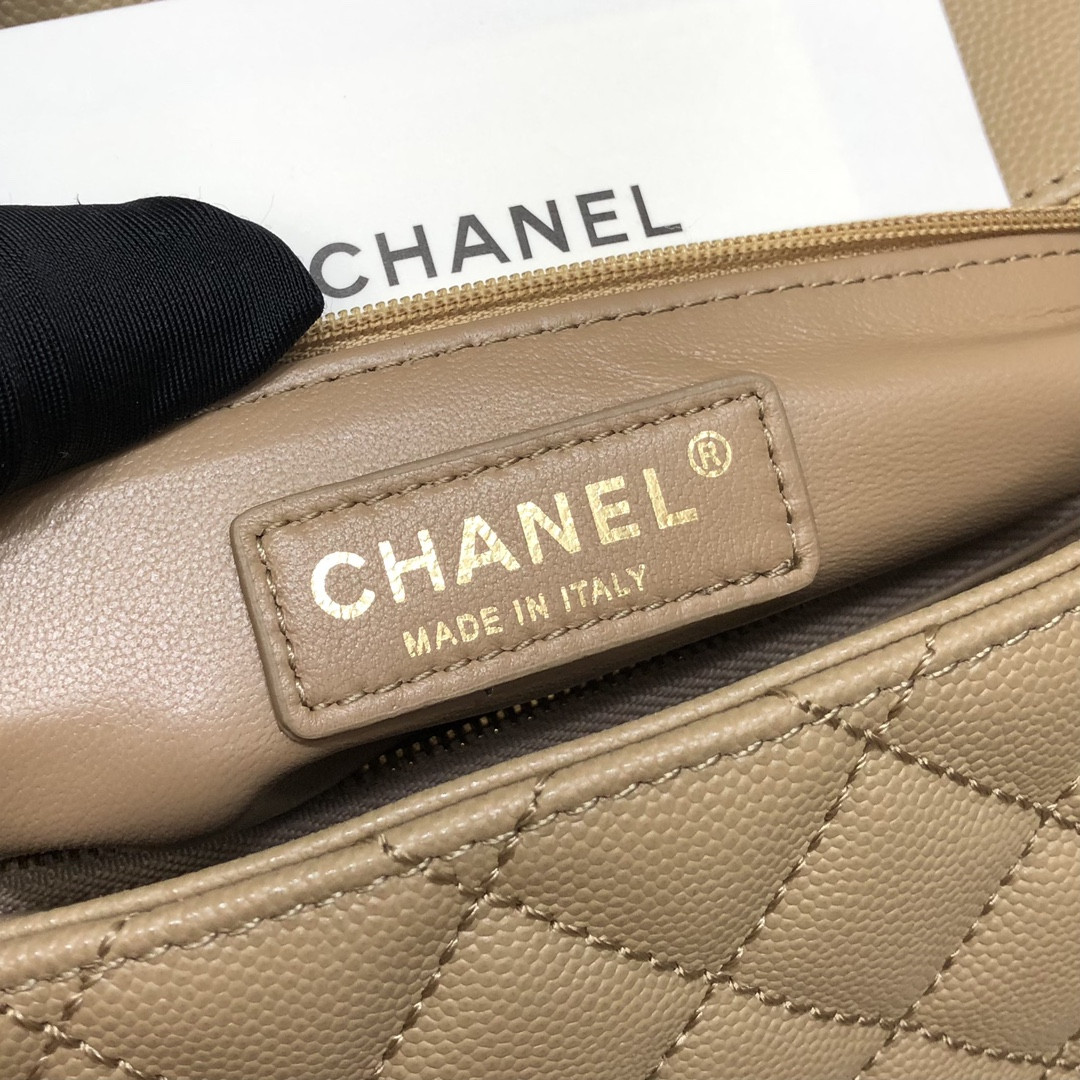 Chanle Coco Handle Bag