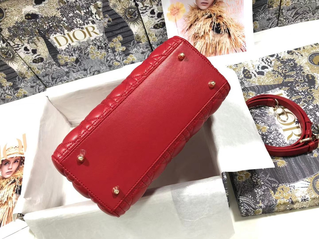 Medium Lady D10r Bag