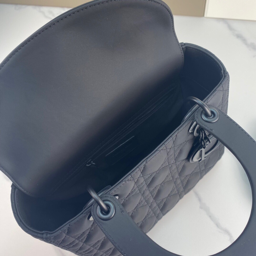 Medium Lady D10r Bag