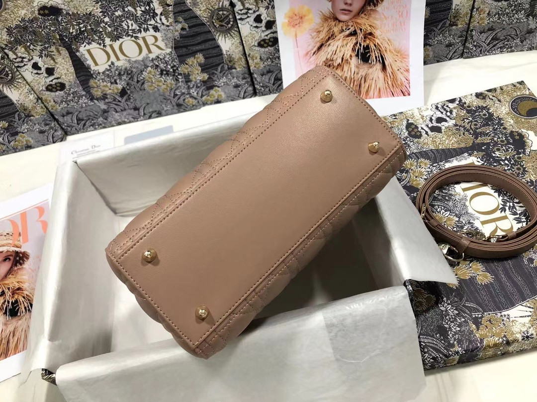 Medium Lady D10r Bag