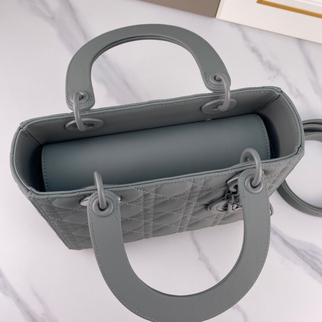 Medium Lady D10r Bag