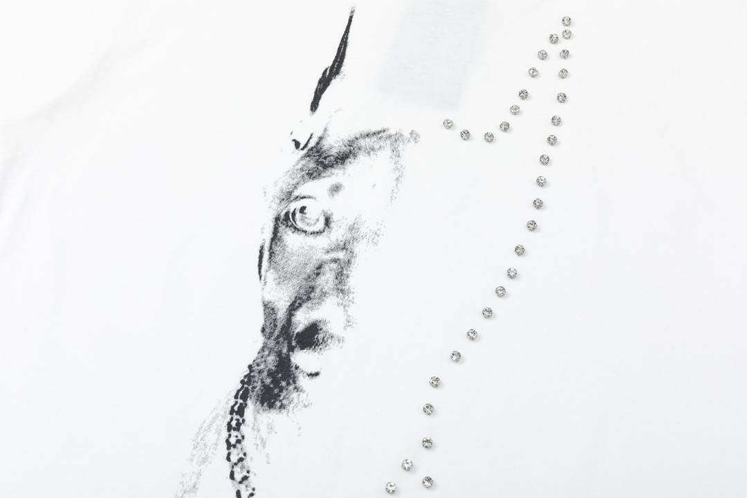 Ba1en*iaga 23Ss Drill Print Hound Design t-shirt