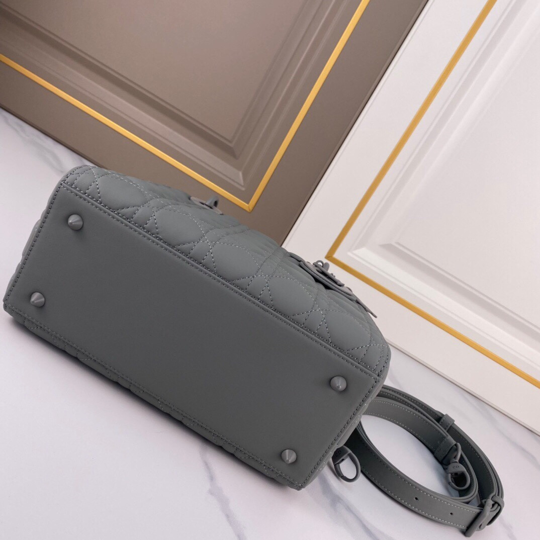 Medium Lady D10r Bag