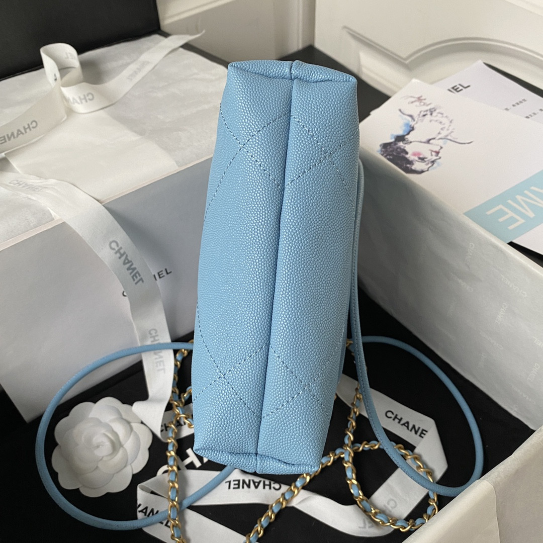 Chanle 22 Backpack Mini