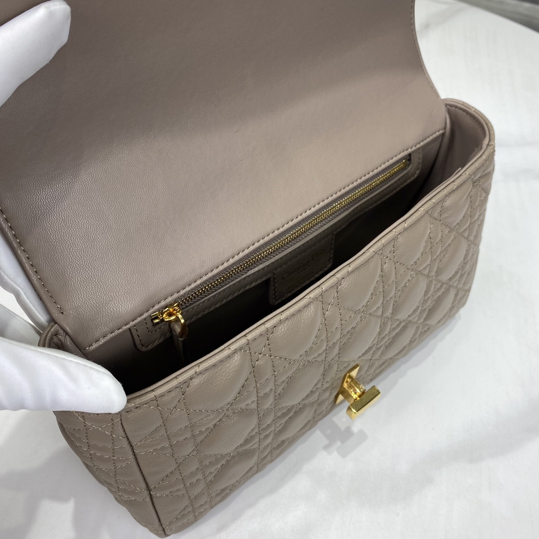 Medium D10r Caro Bag