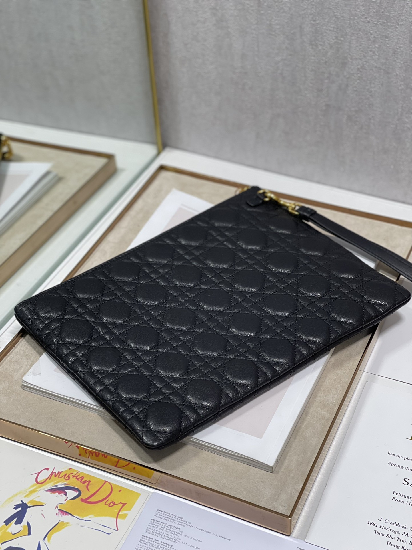 Large D10r Caro Daily Pouch