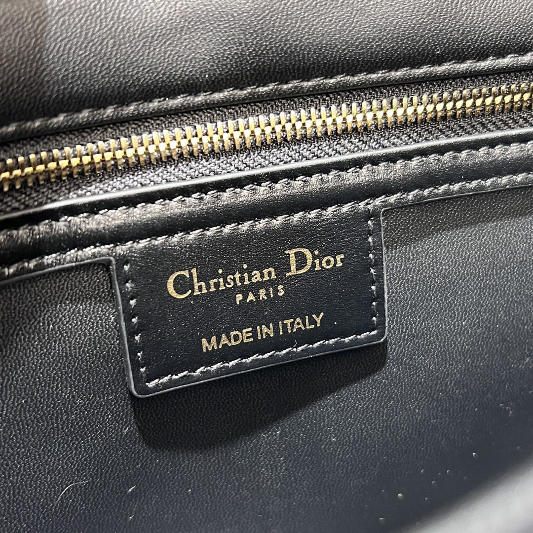 Medium D10r Caro Bag