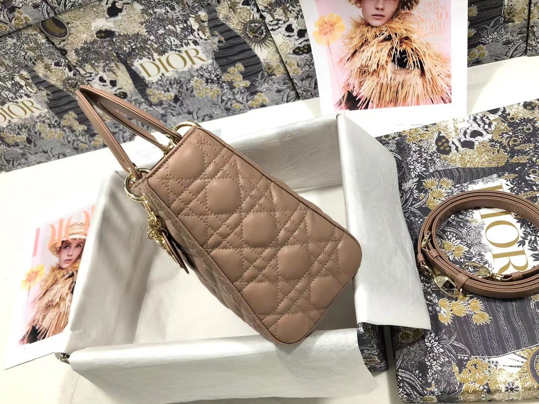 Medium Lady D10r Bag