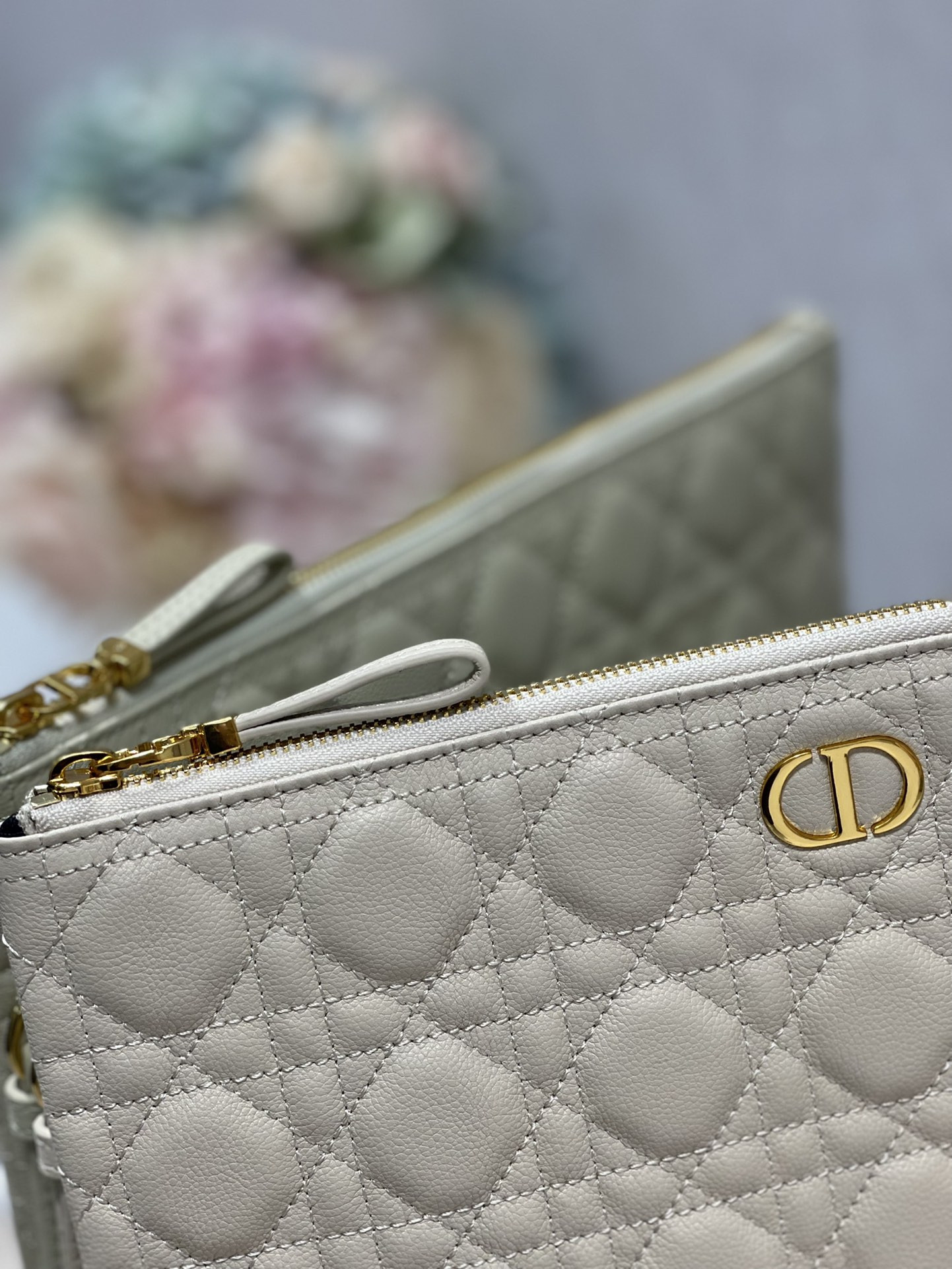 Large D10r Caro Daily Pouch