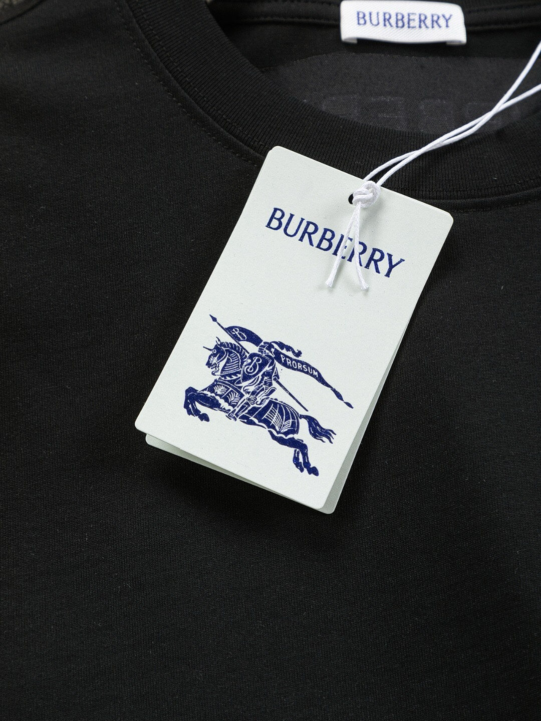 Brown Striped Embroidery T Shirt