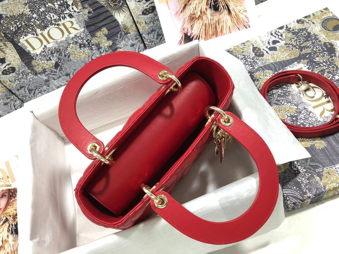 Medium Lady D10r Bag