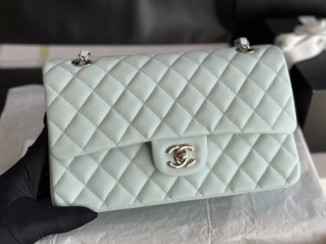Chanle Classic Double Flap Silver Hardware