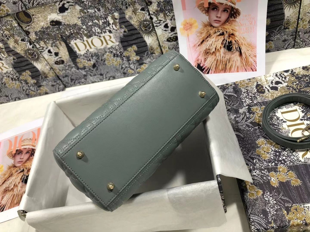 Medium Lady D10r Bag