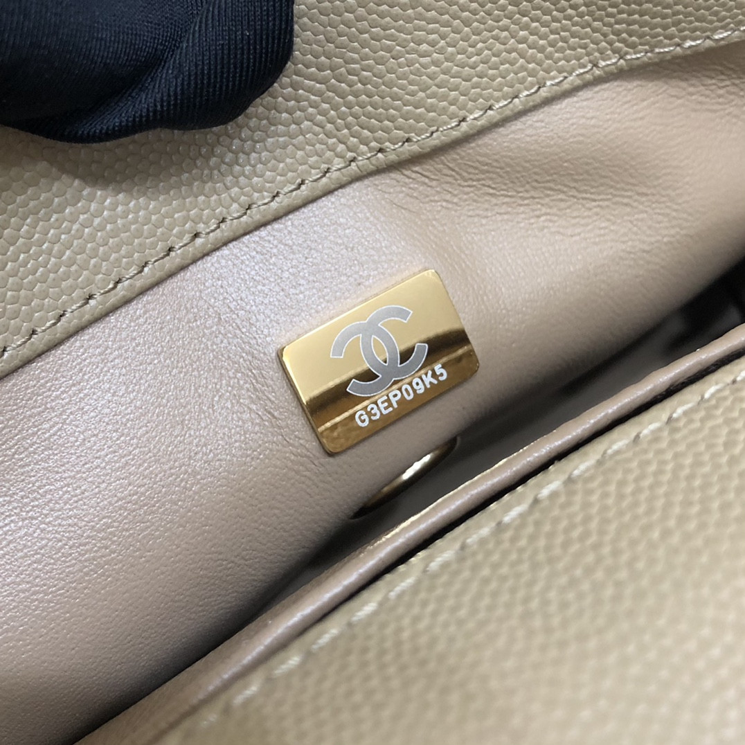 Chanle Mini Coco Handle Bag