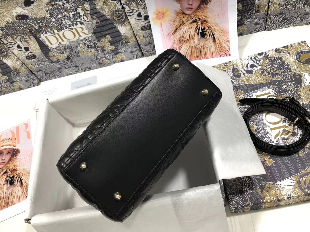 Medium Lady D10r Bag