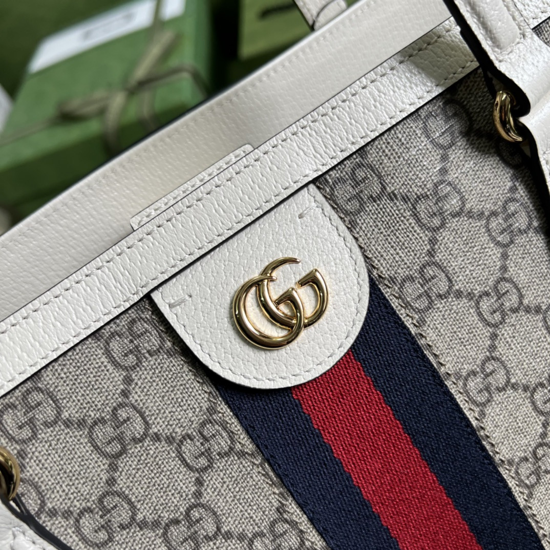 Gvc*1 Ophidia Bag
