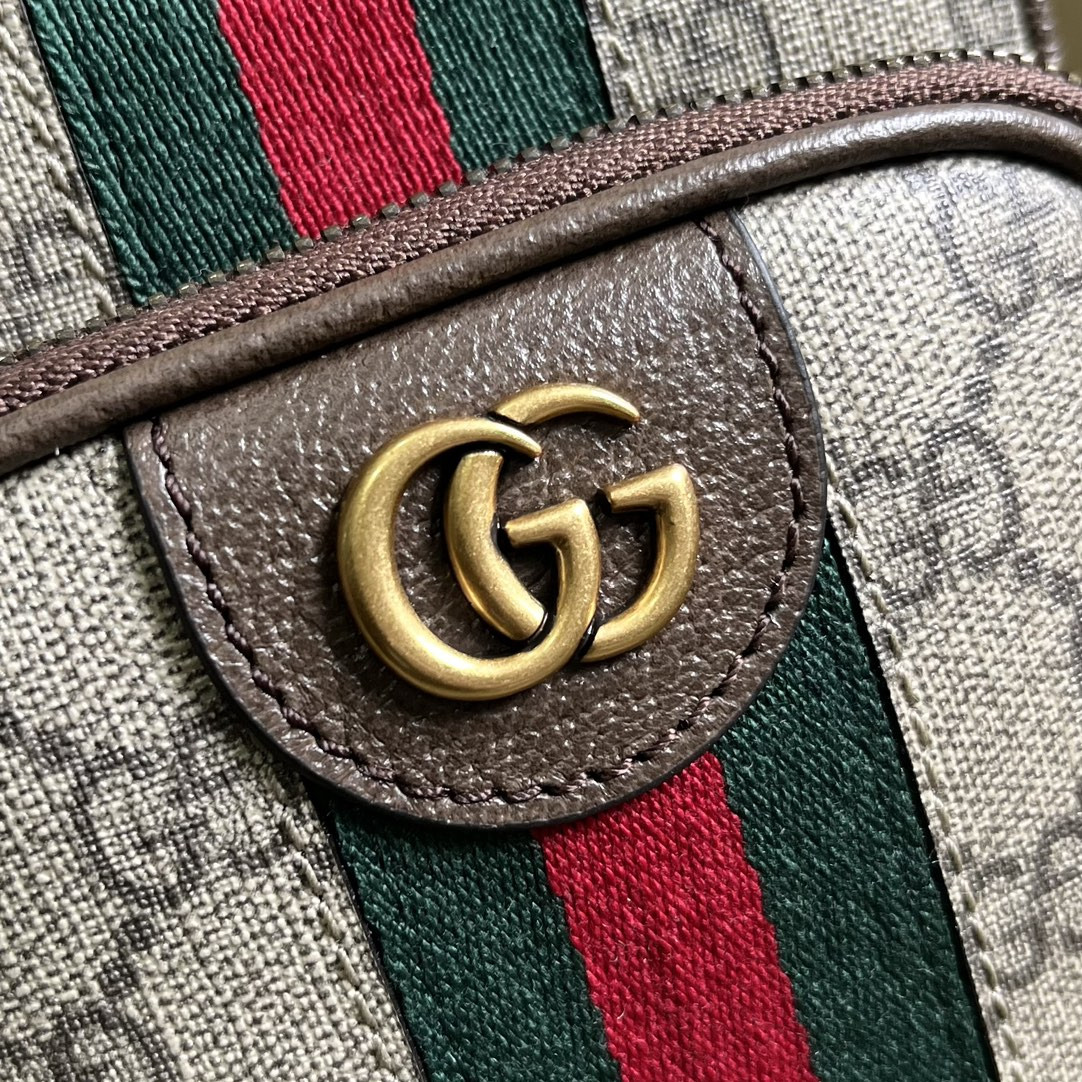 Gvc*1 Ophidia Bag