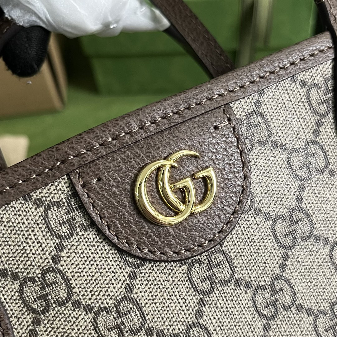 Gvc*1 Ophidia Bag
