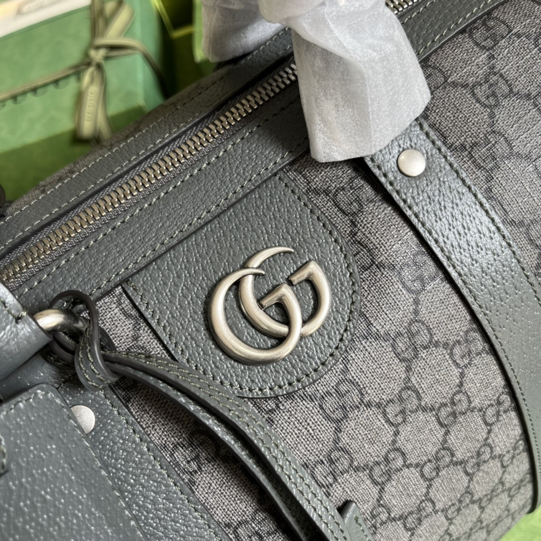 Gvc*1 Ophidia Bag