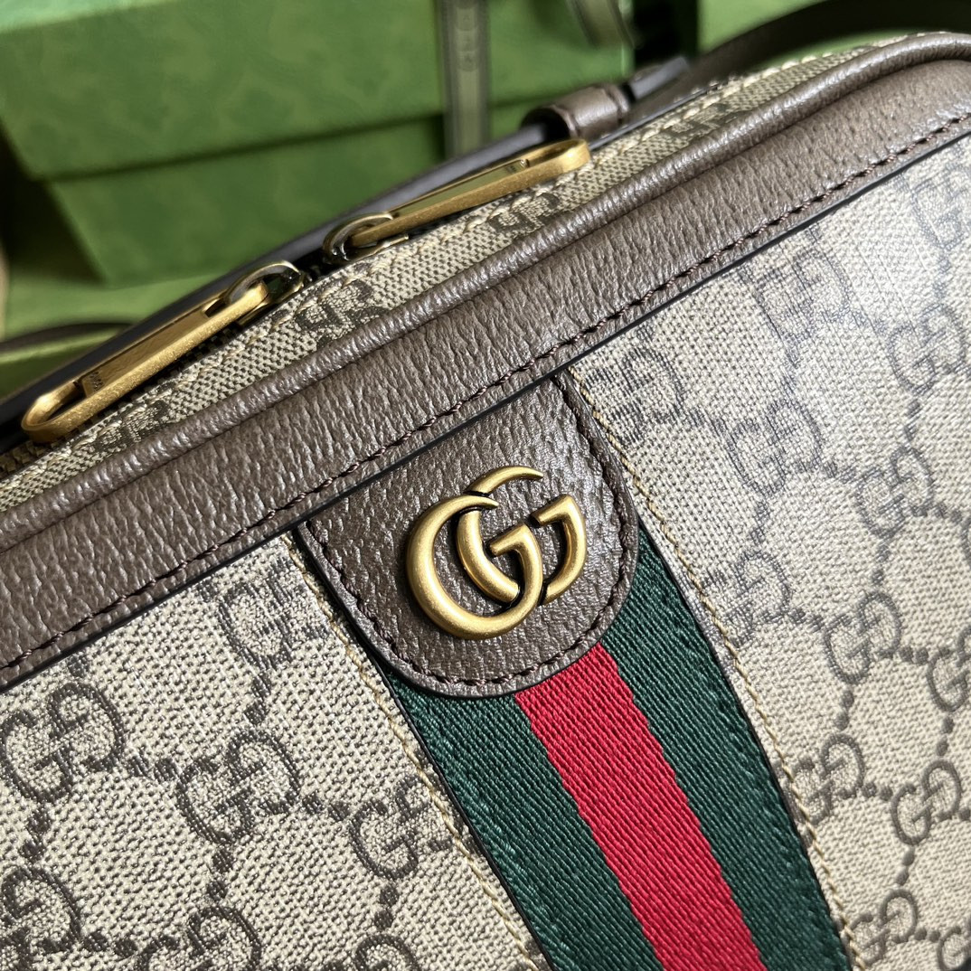 Gvc*1 Ophidia Bag
