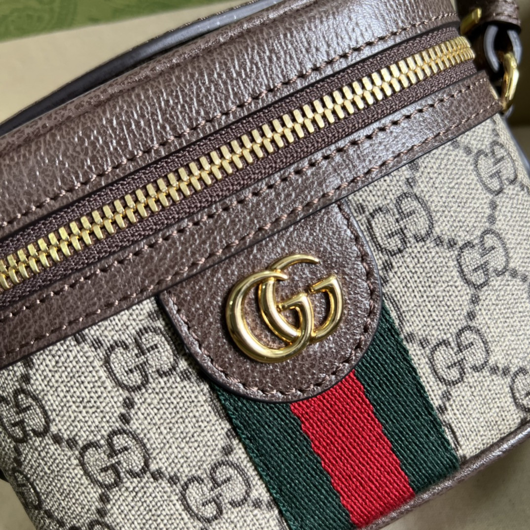 Gvc*1 Ophidia Bag