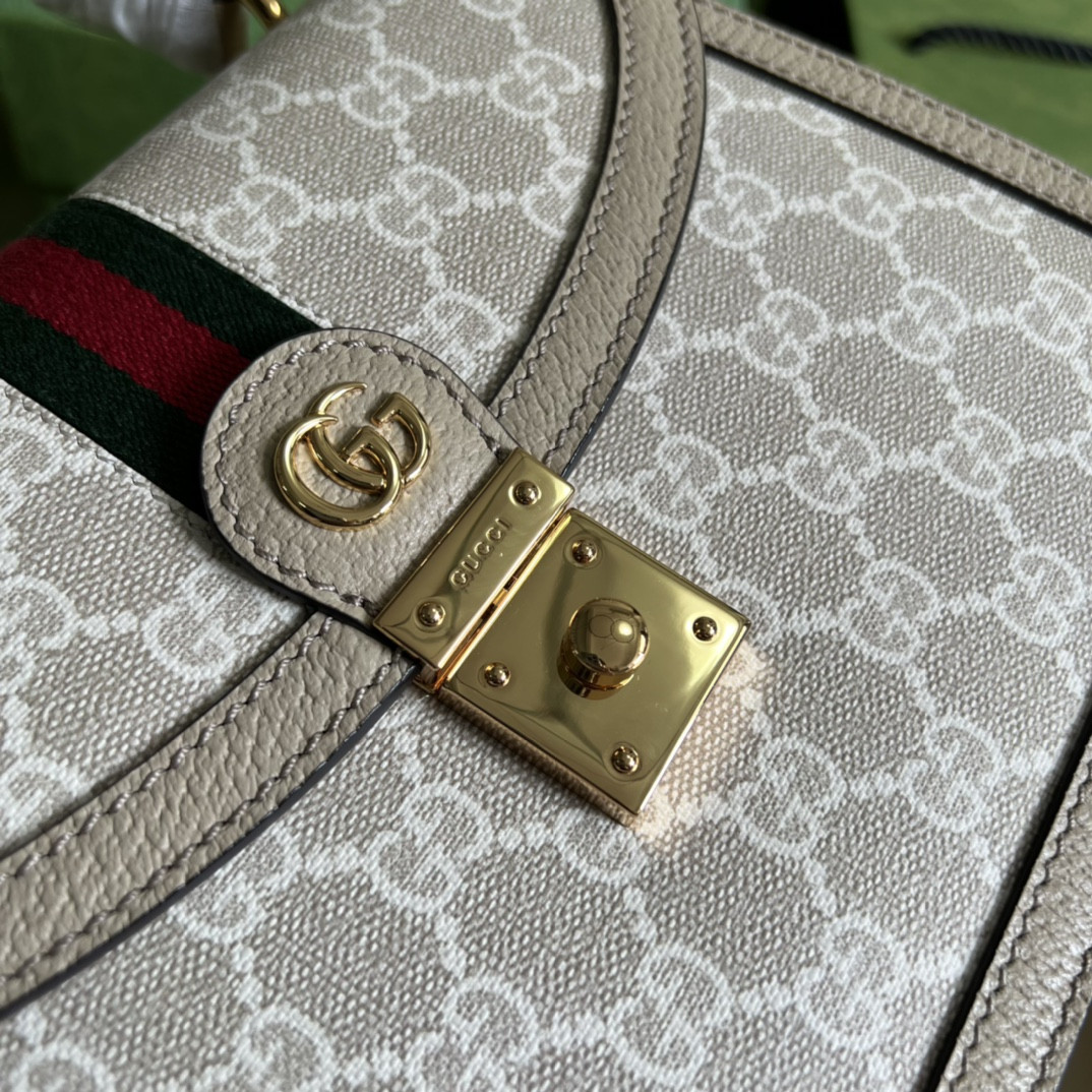 Gvc*1 Ophidia Bag