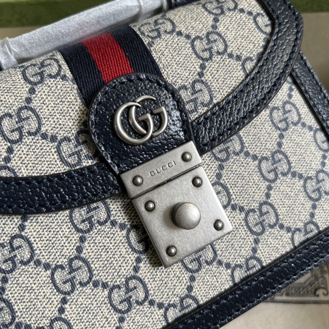 Gvc*1 Ophidia Bag