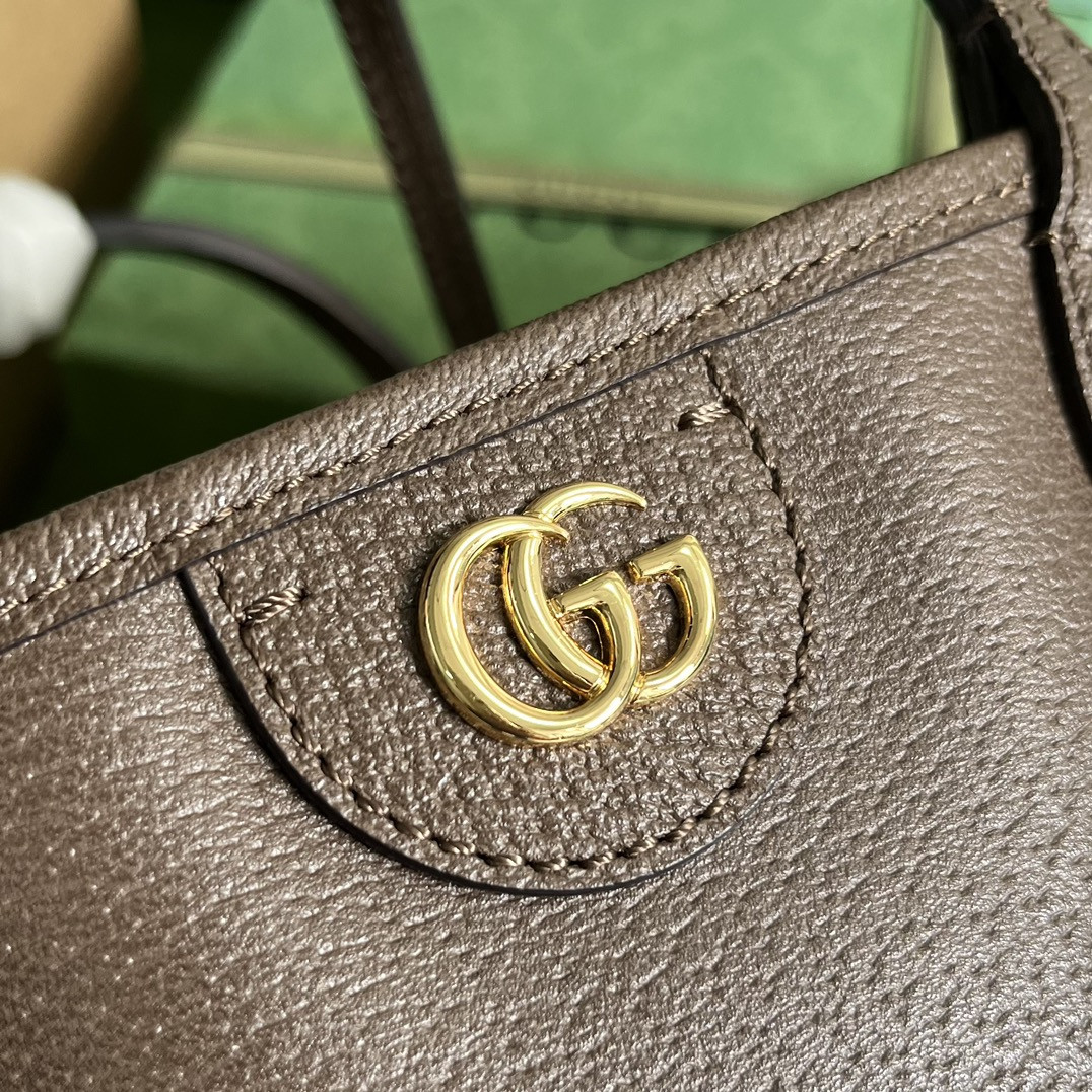 Gvc*1 Ophidia Bag