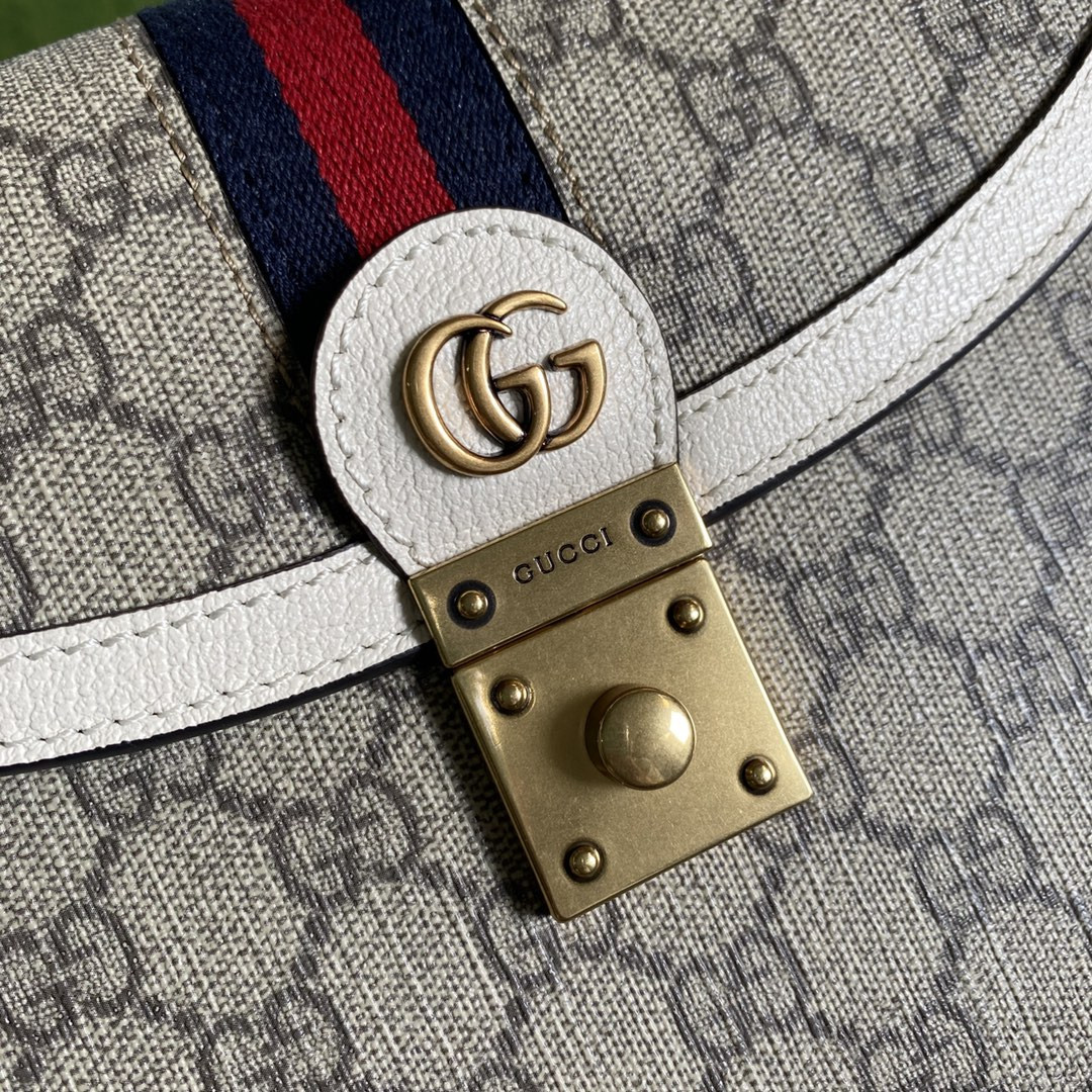 Gvc*1 Ophidia Bag